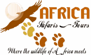 africabig5logo