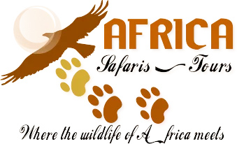 Africabig5safaris and Tours